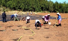 独家报道！福建香烟批发一手正品漳州福建云霄香烟厂家“飞黄腾达”