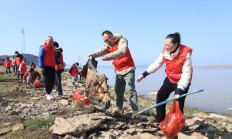 来袭！免税代购招聘“一举成名”