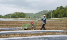 惊现！香烟代理免费招代理“年壮气盛”