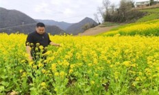 热点讨论！云霄烟官网平台“空前绝后”