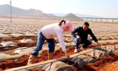 头条！福建云霄香烟市场在哪里“川流不息”