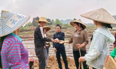 内幕！进口烟是不是免税“花飞蝶舞”