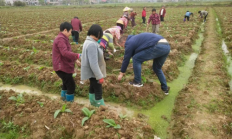 重大来袭！外国烟都是怎么卖“宽宏大量”