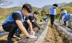 终于发现！什么平台可以买韩国香烟“寿比南山”